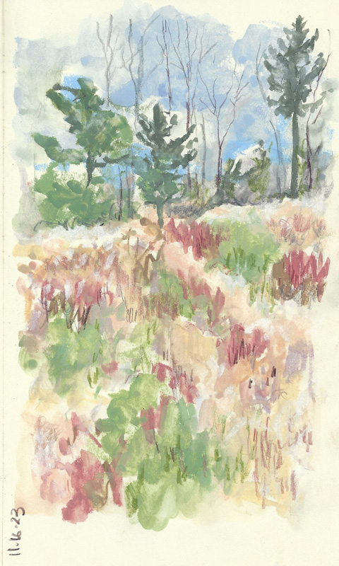 11.16.23