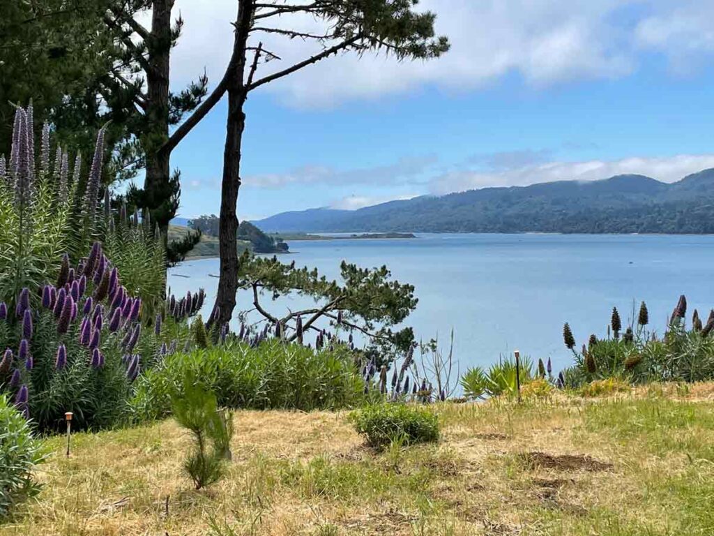 Tomales Bay