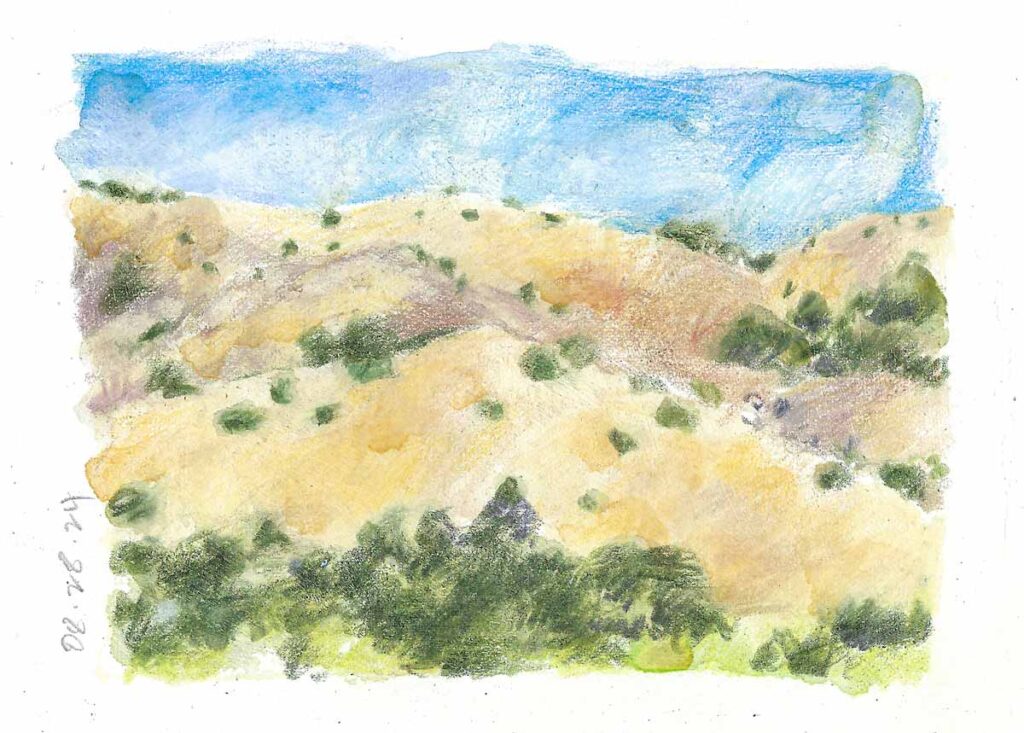 Marin Hills