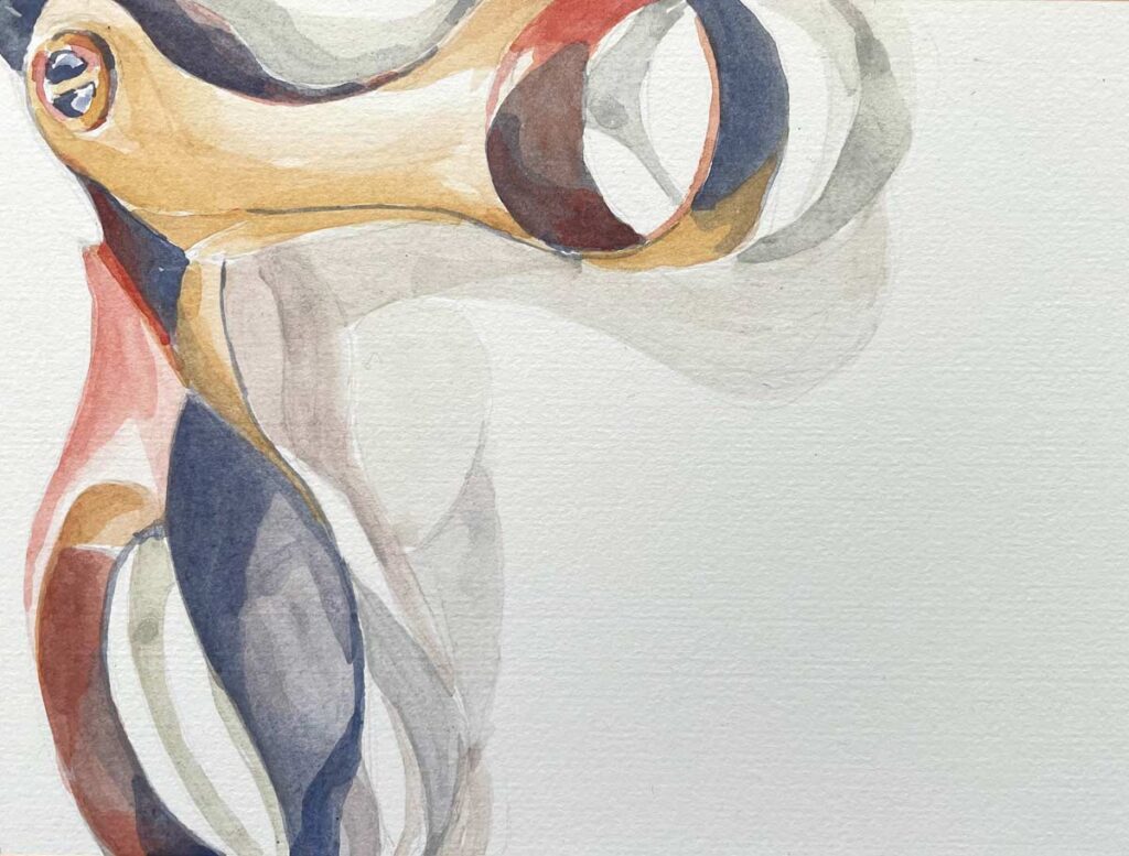 Scissors