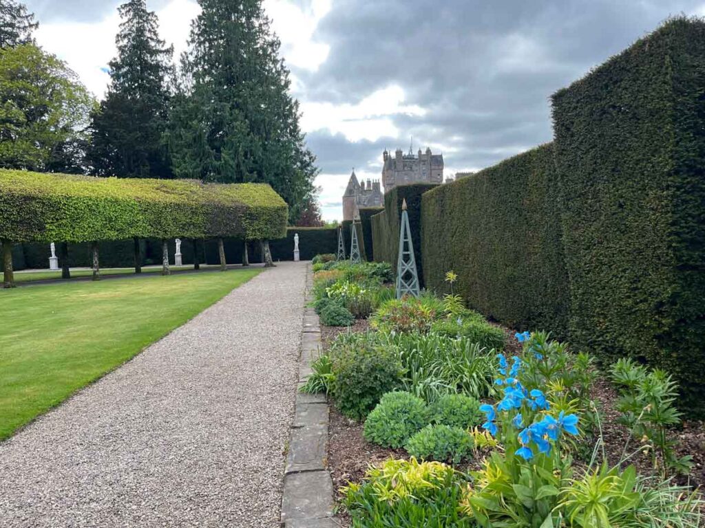 Poppy and castle