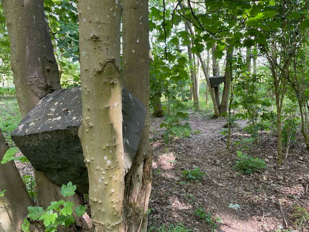 Andy Goldsworthy