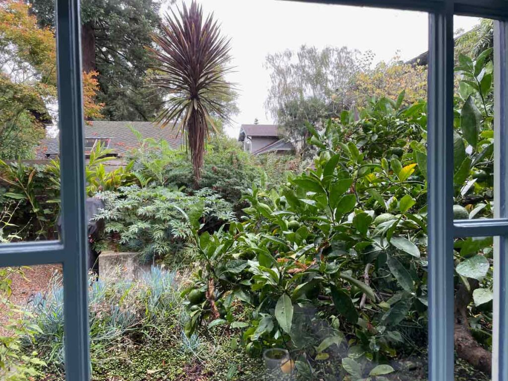 Berkeley Garden