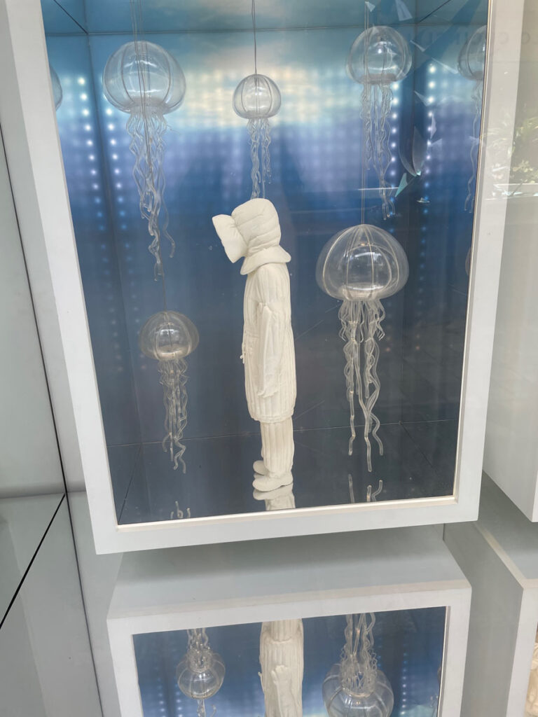 Jellyfish