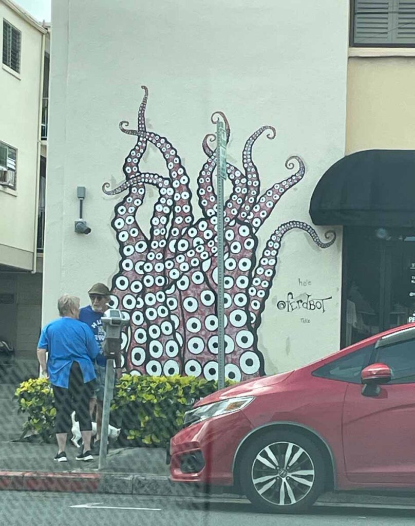 Octopus