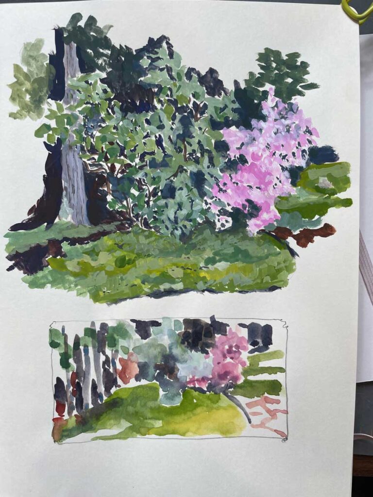 Back Garden