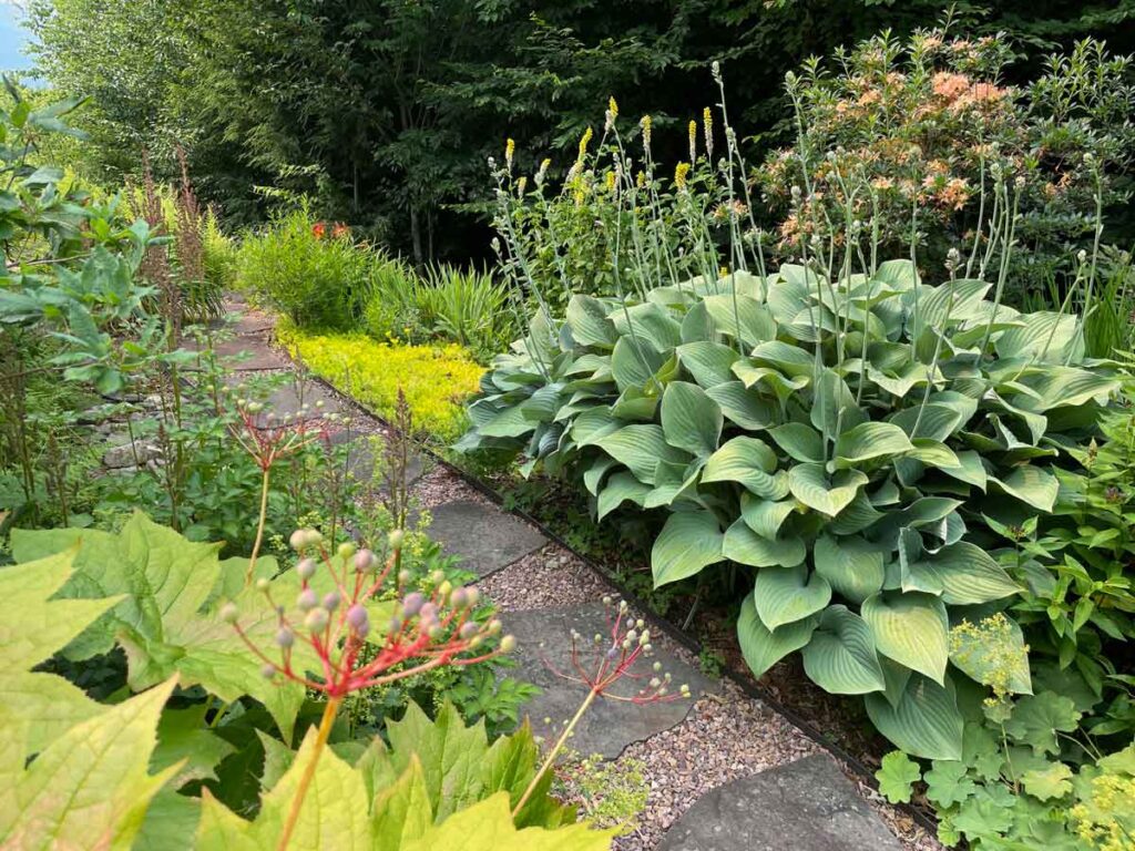 1Garden
