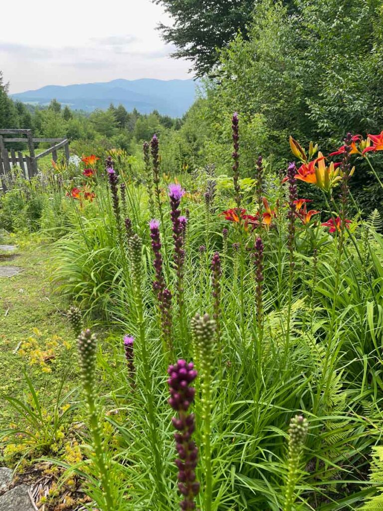 3Garden