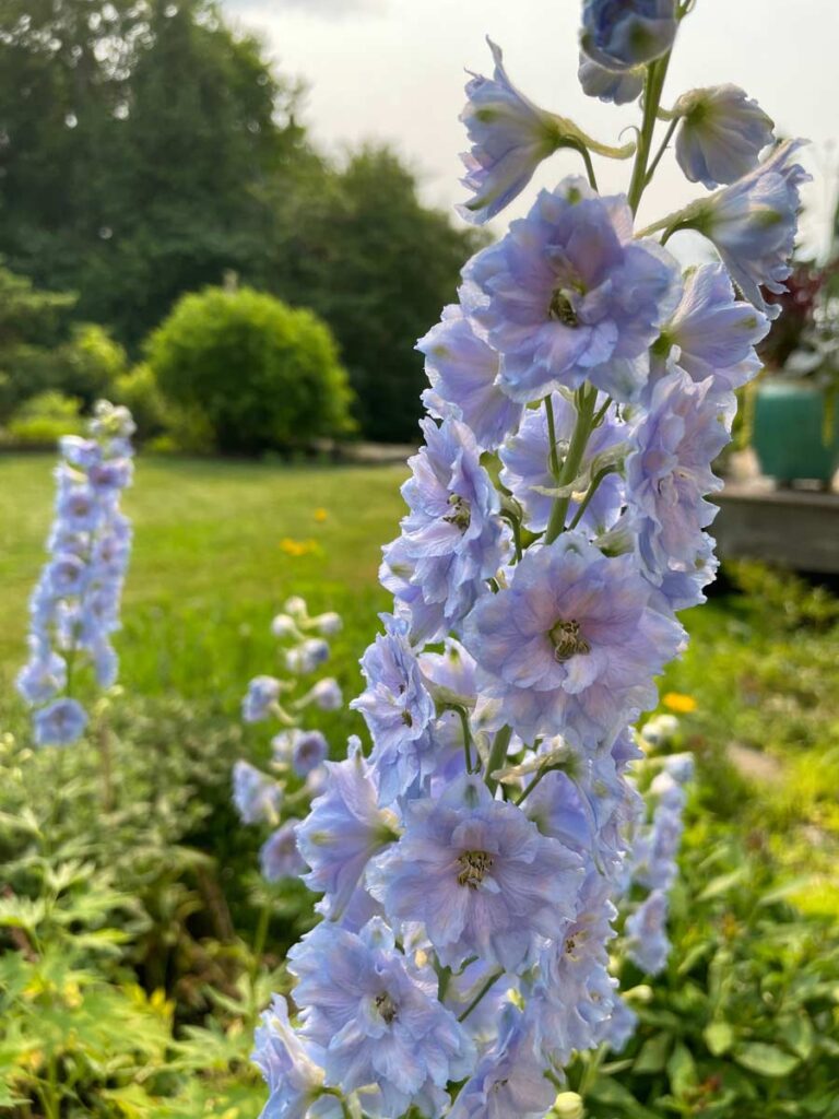2Garden